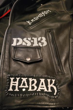 DS-13, Krömosom