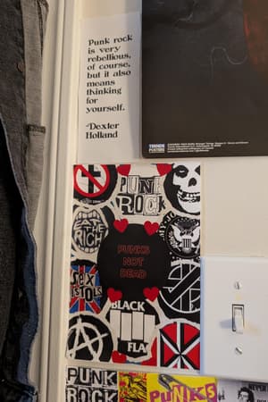 Sex Pistols, Black Flag