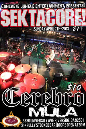 Cerebro, Mula