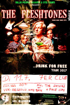 The Fleshtones, The Shivas