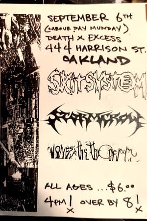 Skitsystem, Seermitron