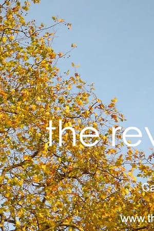 The Reverse