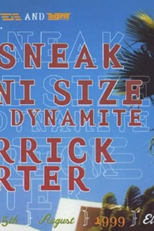 DJ Sneak, Roni Size