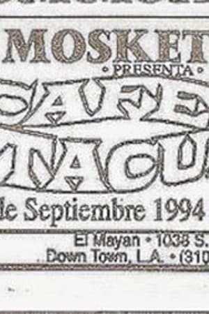 Cafe Tacuba