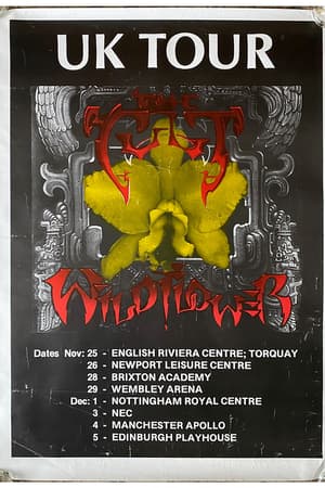 The Cult