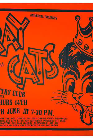 Stray Cats, The Phantom Chords