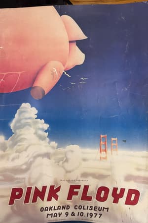 Pink Floyd