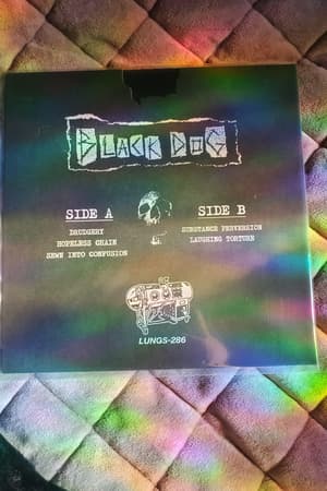 Black Dog