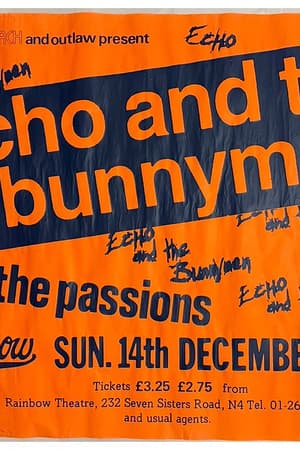 Echo and the Bunnymen, The Passions