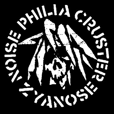 Philia Cruste, Noise