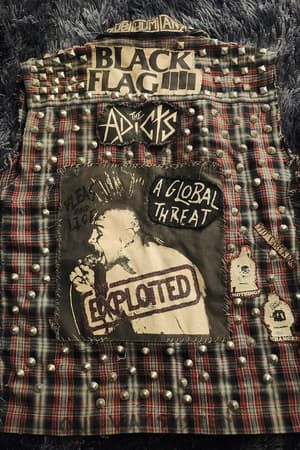 Black Flag, The Adicts