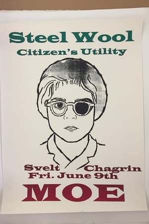 Steel Wool, Citizen's Utility