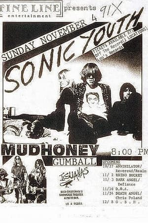 Sonic Youth, Mudhoney