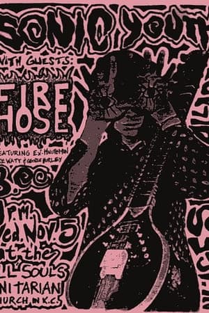 Sonic Youth, fIREHOSE
