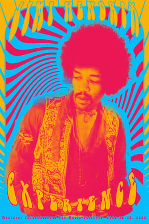 Jimi Hendrix Experience