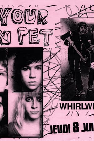 Be Your Own Pet, Whirlwind Heat