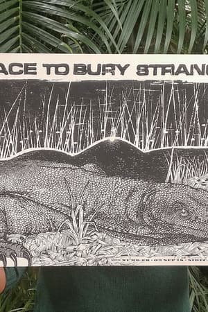 A Place to Bury Strangers, Numbler