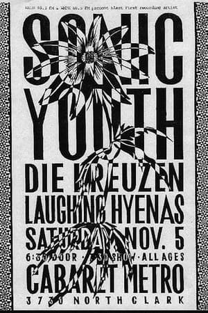 Sonic Youth, Die Kreuzen