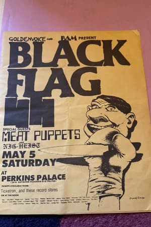 Black Flag, Meat Puppets