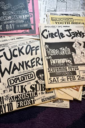 Circle Jerks, Wasted Youth