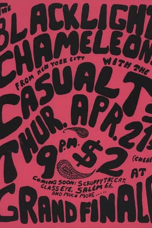 The Blacklight Chameleons, The Casual T's