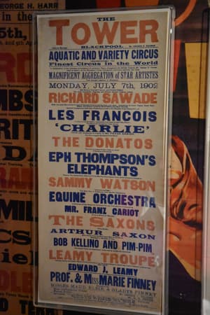 Richard Sawade, Les Francois