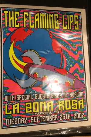 The Flaming Lips, Birds of Avalon