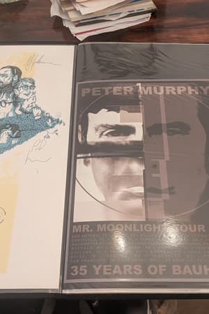 Cuff The Duke, Peter Murphy