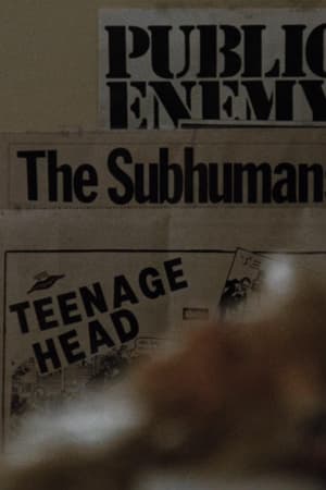 Public Enemy, The Subhumans