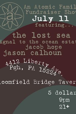 the lost sea, signal to the ocean estate
