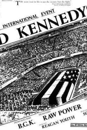 Dead Kennedys, Raw Power