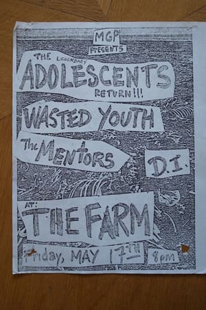 The Adolescents, Wasted Youth