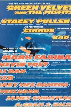 Green Velvet and The Misfits, Stacey Pullen