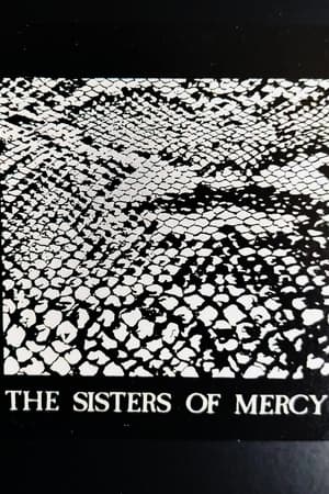 The Sisters of Mercy