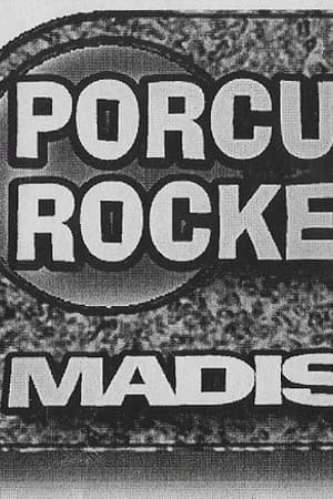 Porcupine Rocketship