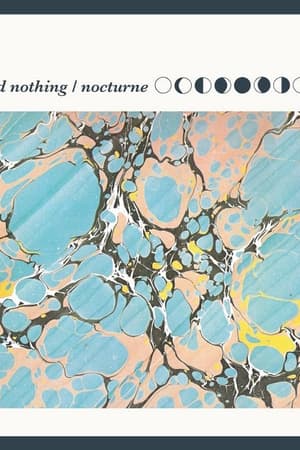 Wild Nothing