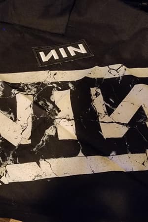 Nine Inch Nails, NIN