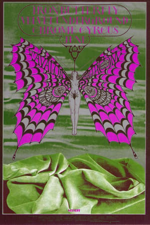 Iron Butterfly, Velvet Underground