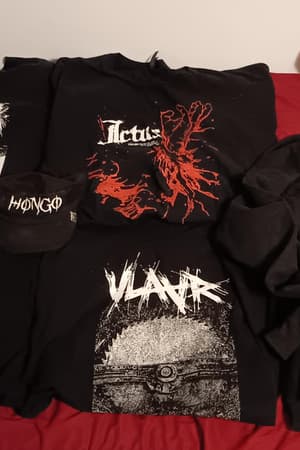 Okkaia, Ictus