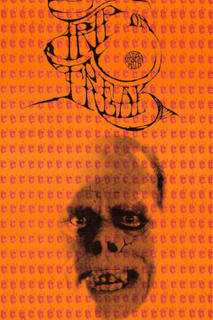 Quicksilver, Grateful Dead
