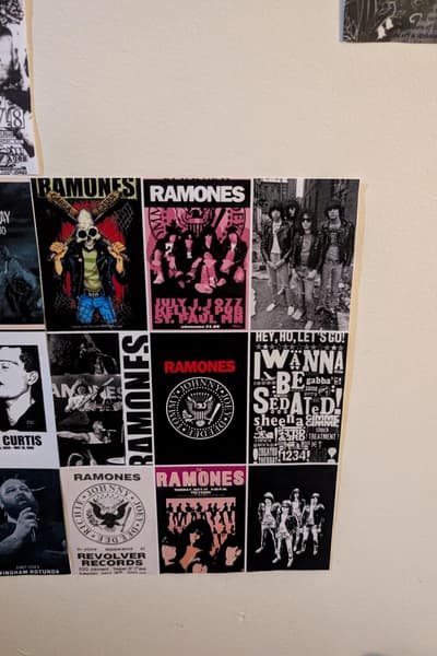Ramones, Ian Curtis (St. Paul / San Francisco)