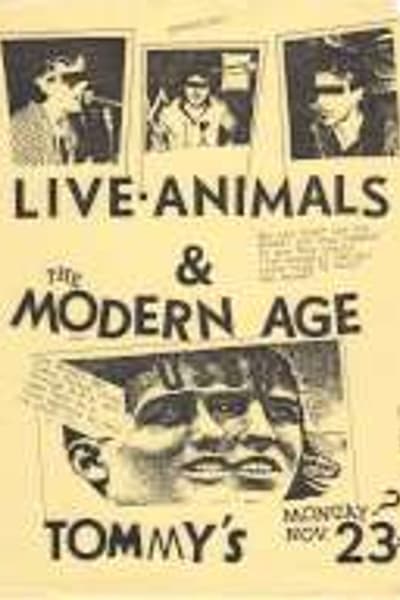 Live Animals