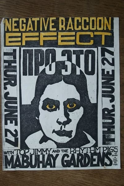 Negative Raccoon Effect San Francisco