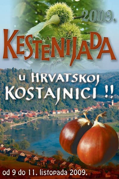 Hrvatska Kostajnica