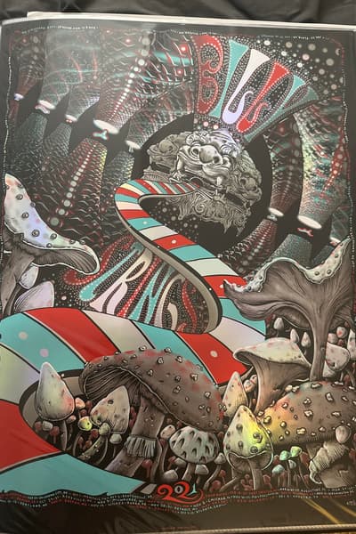 Spring Multiple cities - tour poster