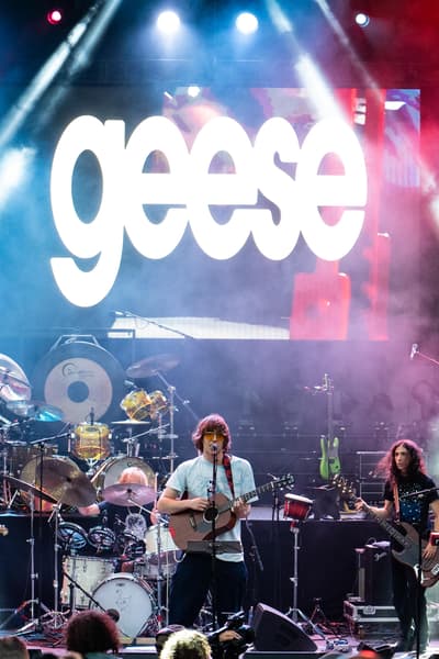 Geese