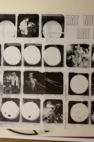 Rat Music for Rat People