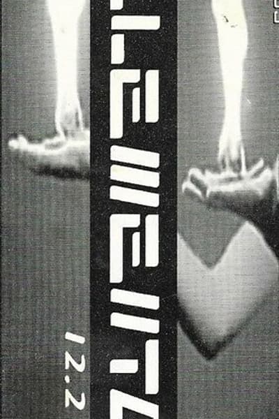 AECII Dec 21, 1996 Chicago