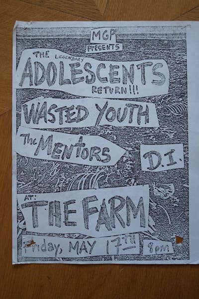 The Adolescents, Wasted Youth, The Mentors