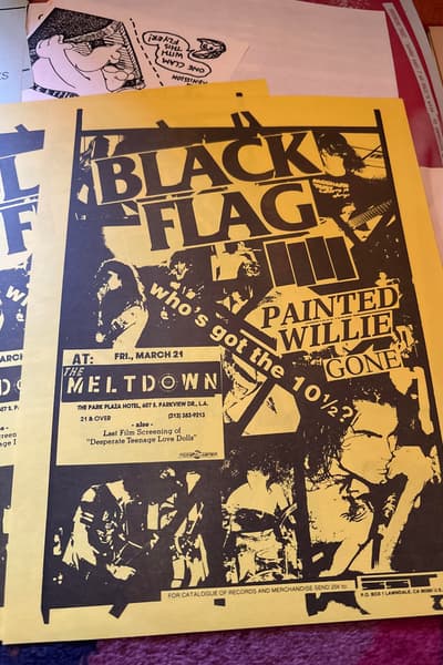 Black Flag, Painted Willie, Gone